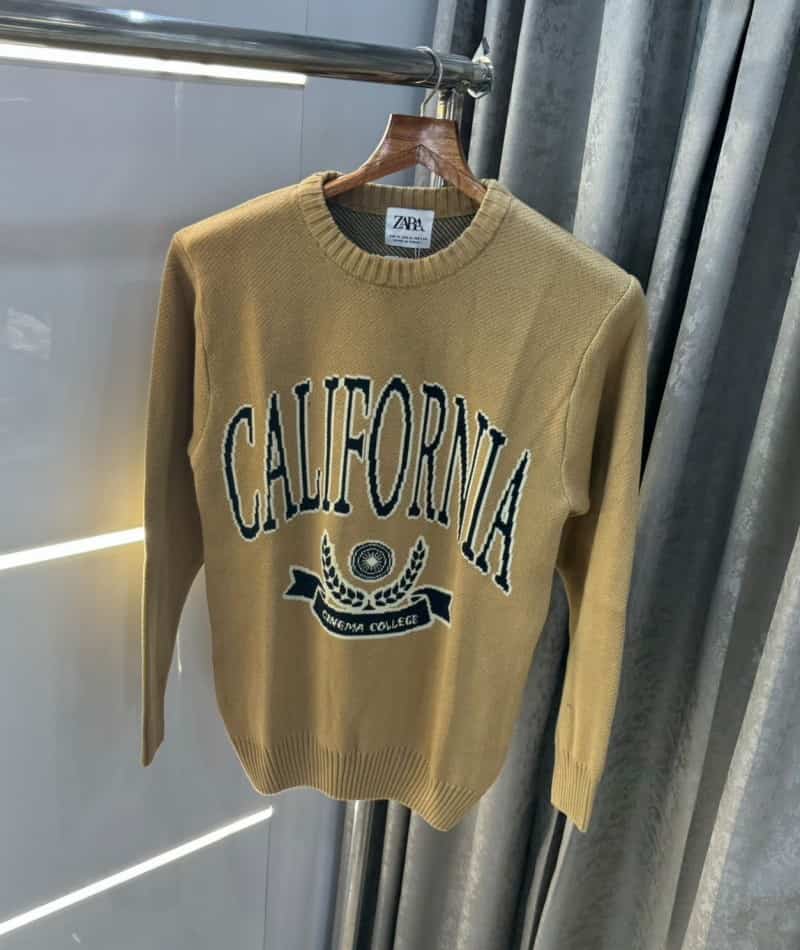 Zar a Beige Knitted Premium Pull Over