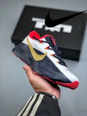 Nike LeBron ROYALTY TR 1 TEAM USA