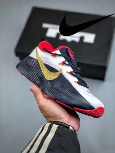Nike LeBron ROYALTY TR 1 TEAM USA