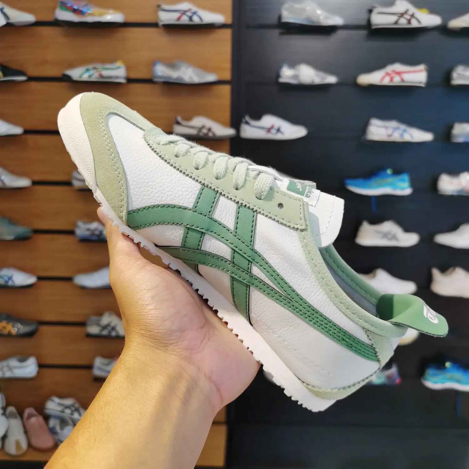Onitsuka TIGER Mexico 66 AIRY GREEN Sneakers Men