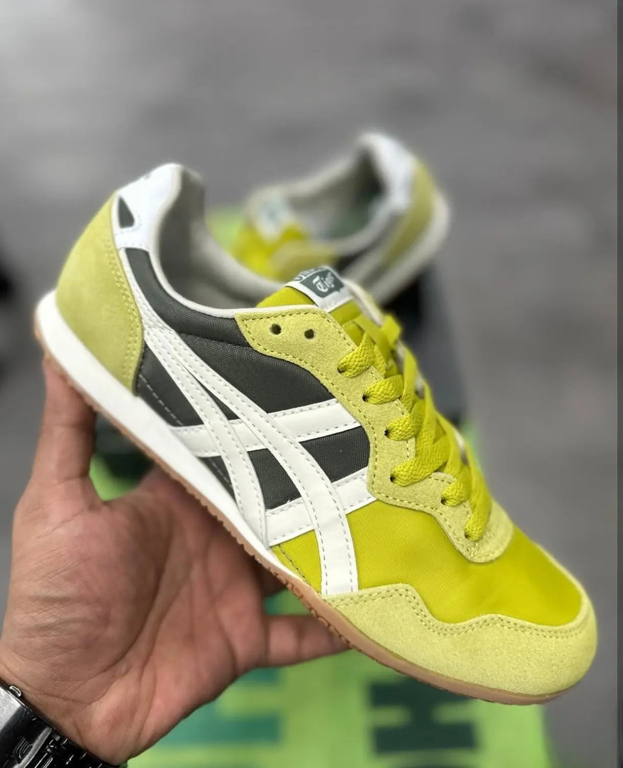 Onitsuk_a Tiger Serrano Kelp Birch  7A Premium Mens Sneakers D-2076