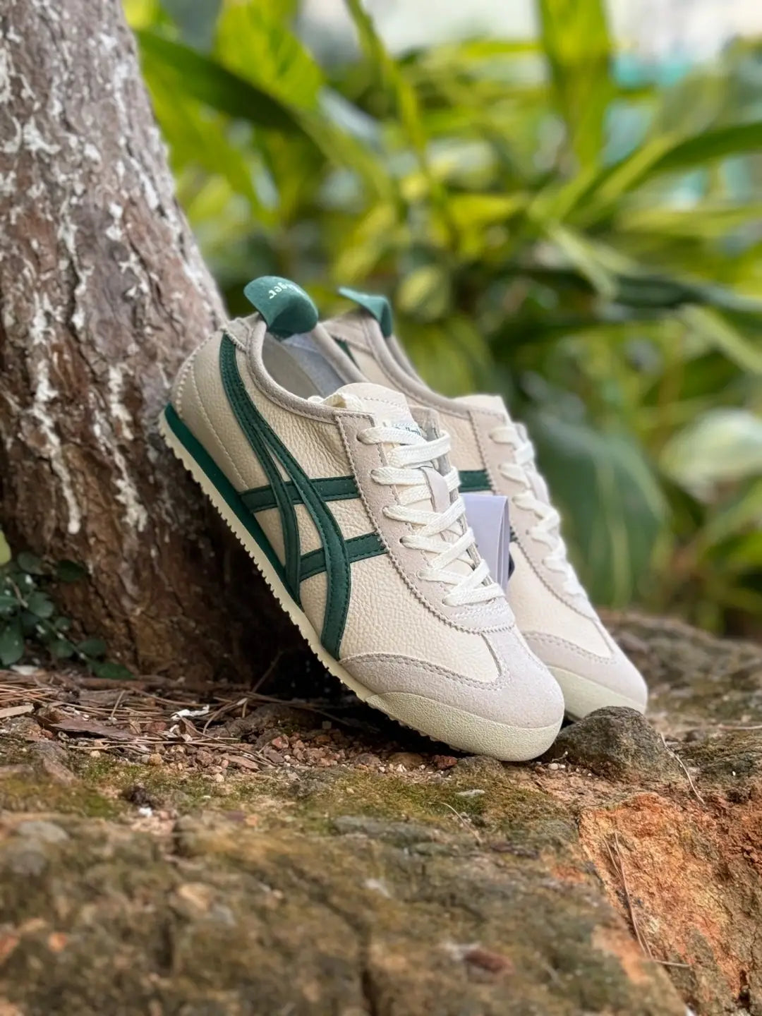 Onitsuka Tiger Mexico 66 Vintage White Pale Green Girls D-1897
