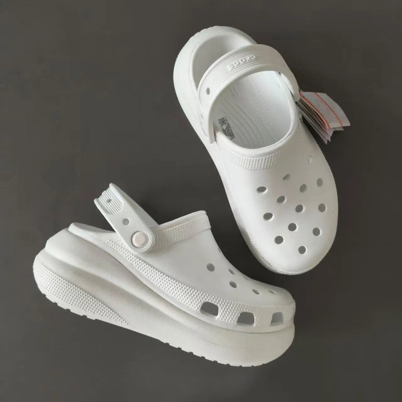 CROCS 360 CARTOON