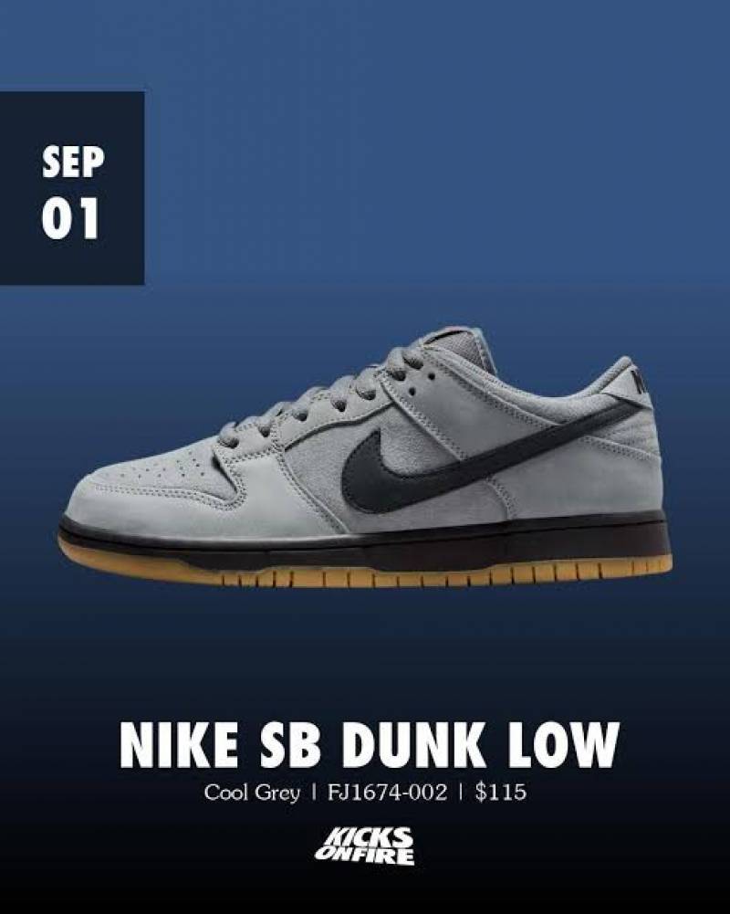 Nik_e SB DUNK LOW PRO COOL GREY