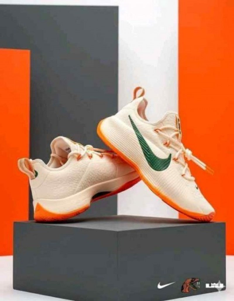 Nikee honors famu lebron tr1