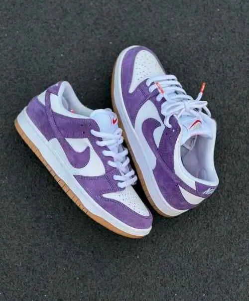 Nikee sb dunk court purple gum