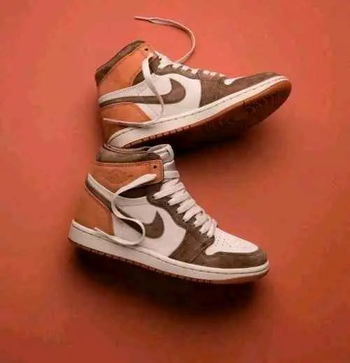 Air Jordan retro 1 High Dusted Clay