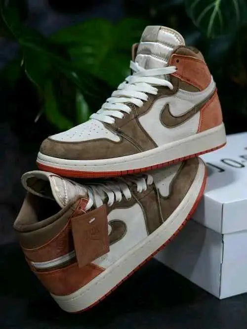 Air Jordan retro 1 High Dusted Clay